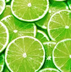 User Profile: limegreenAcres4672