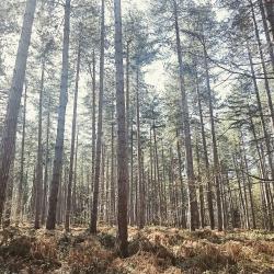 User Profile: JaneDoodleBug