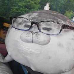 User Profile: friendlyrue470