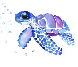 User Profile: sensibleTurtle5347
