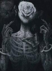 User Profile: AnythingBetween
