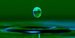 User Profile: TheDewDrops