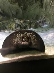 User Profile: VulpesWitch