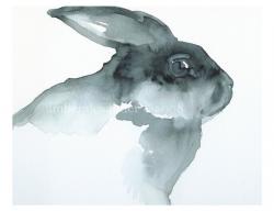 User Profile: blackrabbit862