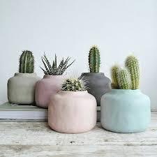 User Profile: clevercactus