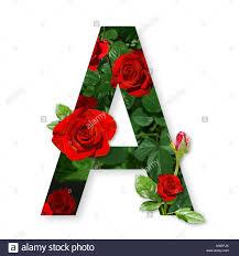 User Profile: AAMIRshehzad1920