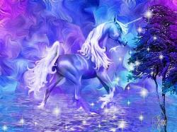 User Profile: UnicornWithoutAHorn