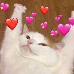 User Profile: BoyWithLuv