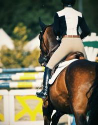 User Profile: 1horsegirl1