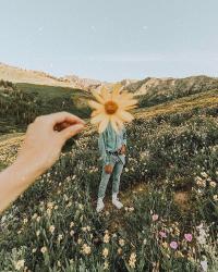 User Profile: thefamousgarden