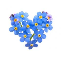 User Profile: VeraciousValerie