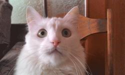 User Profile: Space19573