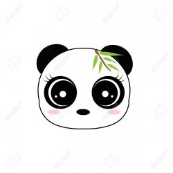 User Profile: xPanda
