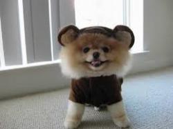 User Profile: Lollyness