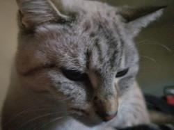 User Profile: 4F