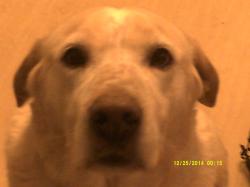 User Profile: Sisilove