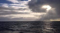 User Profile: Rani01
