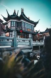 User Profile: mojodojocasahouse