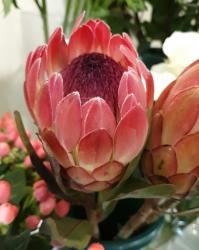 User Profile: FlowersPralinesPresents