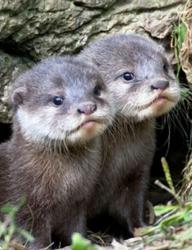 User Profile: Lilotter12345