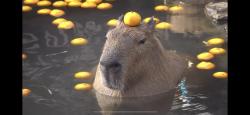 charmingOrange5817 profile picture