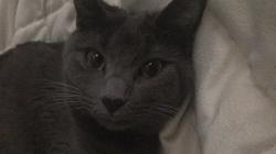 User Profile: frankily