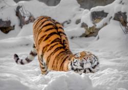 User Profile: Jam246