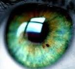 User Profile: HazelEyes23