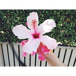 User Profile: wildflower94