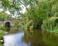 User Profile: CalmRiverWaters