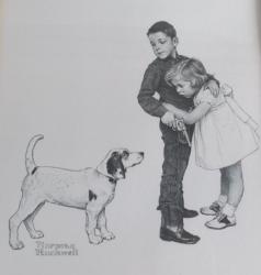 User Profile: NormanTheDog