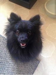 User Profile: happylittlestrawberry3
