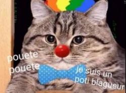 User Profile: Cous