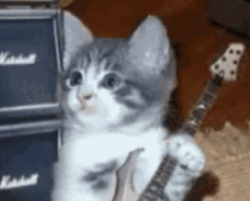 User Profile: courteousWater2527