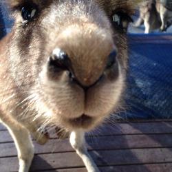 User Profile: gavster