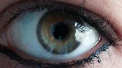 User Profile: DyllanOwlglass