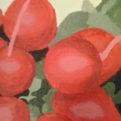 User Profile: ShabbyAbby