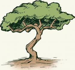 User Profile: EnergeticTree