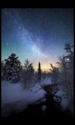 User Profile: SweetDreamsDarlin