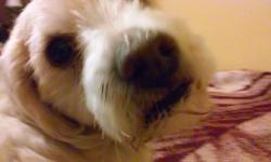 User Profile: louielouie9999