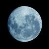 User Profile: LunaTriangle
