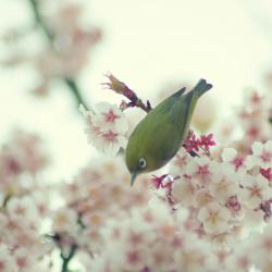 User Profile: FindTheWillFirst