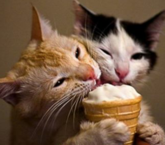 User Profile: LoveDreams