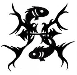 User Profile: BlackOrkid