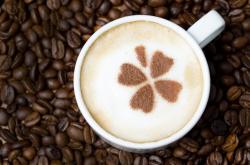 User Profile: Cappucino