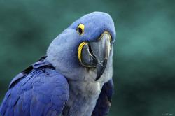 User Profile: smilebirb