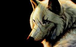 User Profile: WolfRain6277