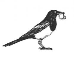 User Profile: magpiegirl