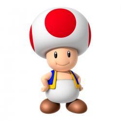 User Profile: Toad01