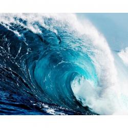 User Profile: sincereOcean4592